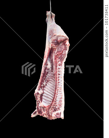 Meat industry. Beef meat hanging. Cut and hanged on hook in a slaughterhouse isolated on a black background. Fresh lamb and raw meat. Cow carcass isolated. 101738411