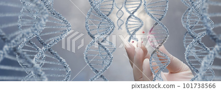 Study of DNA molecules for their destruction and decay. 101738566