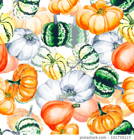 Pumpkins. Watercolor drawing of bright pumpkins. Seamless pattern with vegetables on a white background 101739123