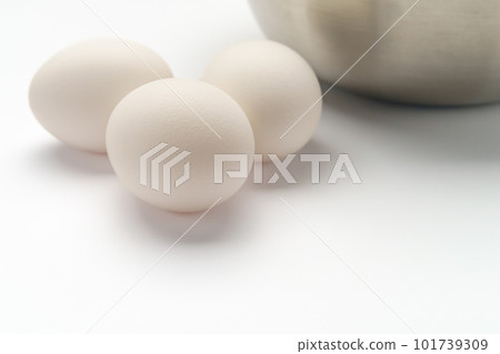 egg egg 101739309