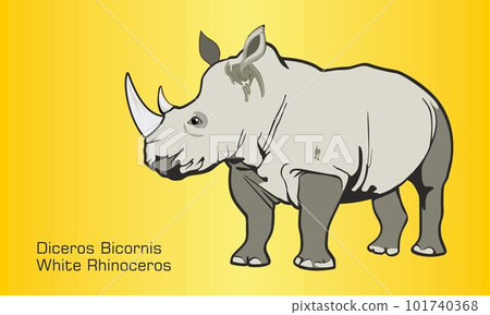 The White Rhinoceros The White Rhinoceros 101740368