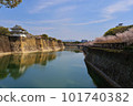 Cherry blossoms bloom in Osaka Castle magnificent moat 101740382