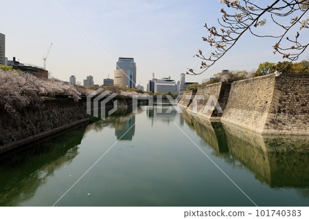 Cherry blossoms bloom in Osaka Castle magnificent moat 101740383