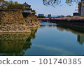 Cherry blossoms bloom in Osaka Castle magnificent moat 101740385