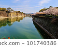 Cherry blossoms bloom in Osaka Castle magnificent moat 101740386