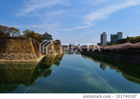 Cherry blossoms bloom in Osaka Castle magnificent moat 101740387