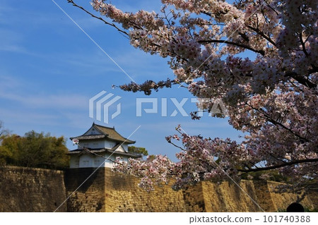 Cherry blossoms bloom in Osaka Castle magnificent moat 101740388