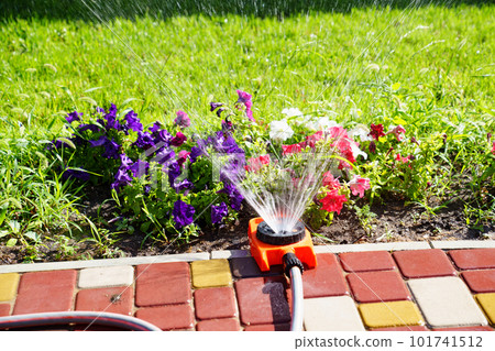 Automatic watering system on the lawn. watering heads and pipes  101741512