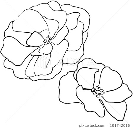 Hand drawn black outline peony flowers, isolated illustration element 101742016