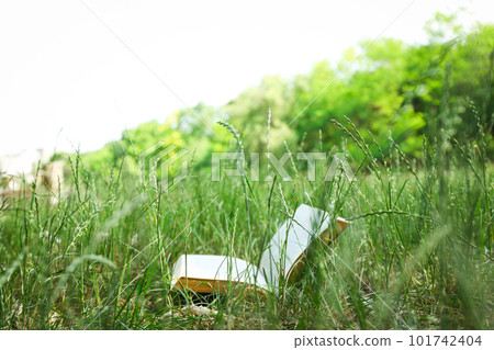 Spending time in nature - picnic, accessories for picnic 101742404