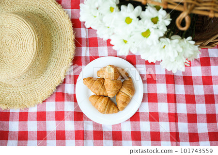 Spending time in nature - picnic, accessories for picnic Spending time in nature - picnic, accessories for picnic 101743559