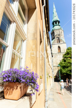 Flower pot on window Hannover old city center street protestant gothic style Church Holy Cross ancient building house. Lower Saxony traditional german acrhitecture urban cityscape european landmark Flower pot on window Hannover old city center street protestant gothic style Church Holy Cross ancient building house. Lower Saxony traditional german acrhitecture urban cityscape european landmark 101743828