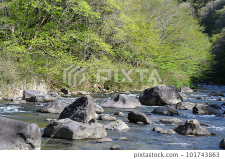 那珂川的風景【栃木縣那須鹽原市】 那珂川的風景【栃木縣那須鹽原市】 101743863