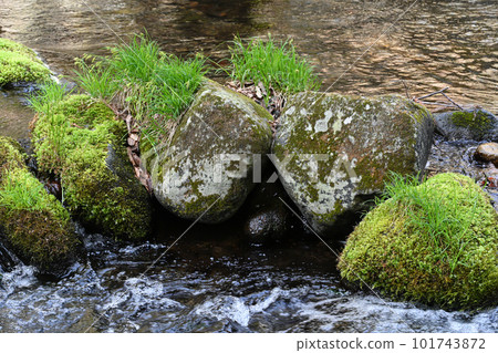 澤川的風景【栃木縣那須鹽原市】 101743872