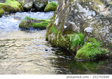 澤川的風景【栃木縣那須鹽原市】 101743880