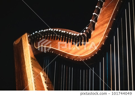 Close-up of detail of a Celtic natural wood finish harp neck and bridge with tuning pins and strings 101744049
