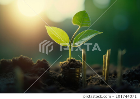 Fresh young plants sprout from the earth, showcasing the beauty of nature's renewal and the beginning of new growth. Organic farming and sustainability and eco-friendly living. Generative AI. Fresh young plants sprout from the earth, showcasing the beauty of nature's renewal and the beginning of new growth. Organic farming and sustainability and eco-friendly living. Generative AI. 101744071