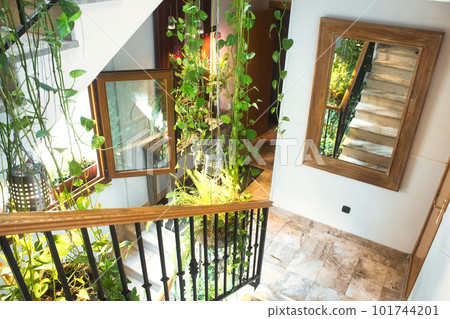 A brightly lit stairwell with plants hanging from the ceiling 101744201