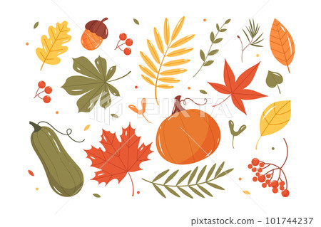 Set of autumn elements Set of autumn elements 101744237