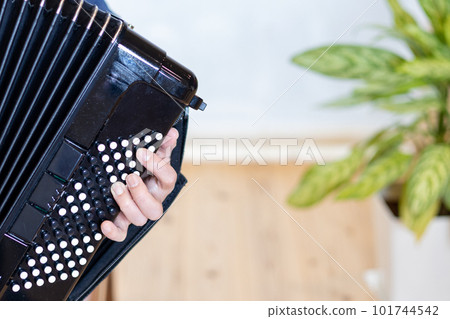 演奏彩色按鈕手風琴的男人的手 101744542