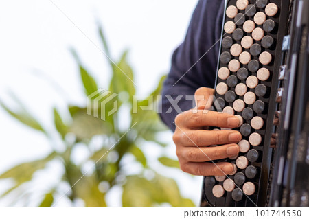 Hands of a man playing a chromatic button accordion Hands of a man playing a chromatic button accordion 101744550