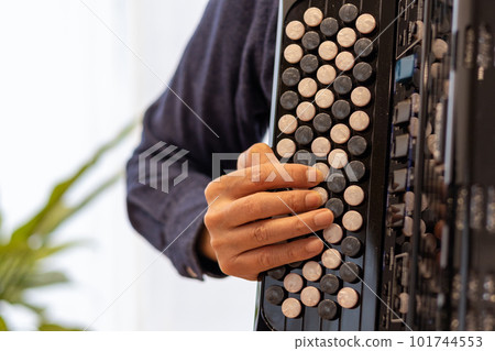 Hands of a man playing a chromatic button accordion 101744553