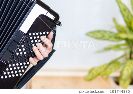 演奏彩色按鈕手風琴的男人的手 101744580