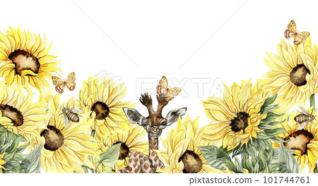Watercolor horizontal seamless background with sunflowers. Butterflies in cartoon style. Hand drawn illustration of summer. Perfect for scrapbooking, kids design, wedding invitation. greetings cards. 101744761