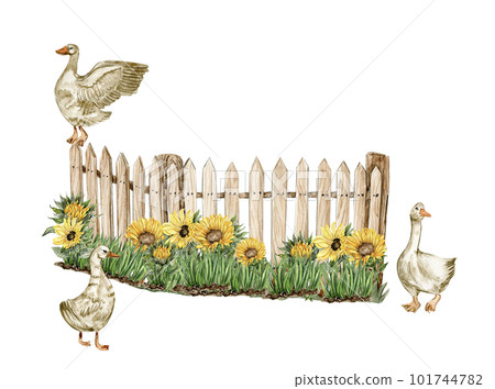 Watercolor farm composition with sunflowers. Butterflies in cartoon style. Hand drawn illustration of summer. Perfect for scrapbooking, kids design, wedding invitation,posters, greetings cards. 101744782