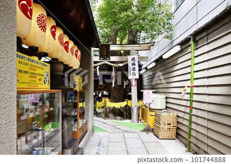 Giant tiger papier-mâché, Sukunahikona Shrine, Osaka Shinno Giant tiger papier-mâché, Sukunahikona Shrine, Osaka Shinno 101744888