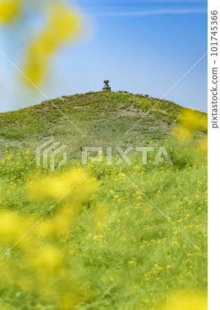 Biwazuka Tumulus Keyhole-shaped burial mound Ancient Oyama City, Tochigi Prefecture Biwazuka Tumulus Keyhole-shaped burial mound Ancient Oyama City, Tochigi Prefecture 101745366