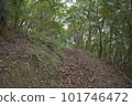 Forest bathing 101746472