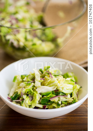Young cabbage salad with purple onions in a bowl . Young cabbage salad with purple onions in a bowl . 101747408