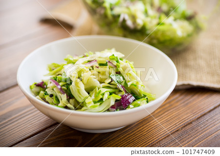 Young cabbage salad with purple onions in a bowl . Young cabbage salad with purple onions in a bowl . 101747409