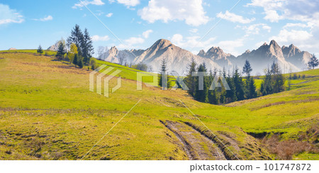 slovakia countryside in summertime. high tatra ridge in the distance. clouds on the blue sky slovakia countryside in summertime. high tatra ridge in the distance. clouds on the blue sky 101747872