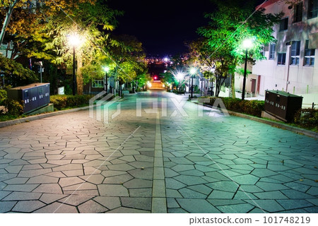 函館市八幡坂夜景 101748219