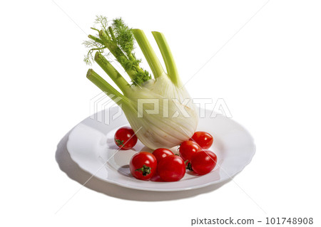 Fennel plant on a plate with tomatoes on a white background Fennel plant on a plate with tomatoes on a white background 101748908