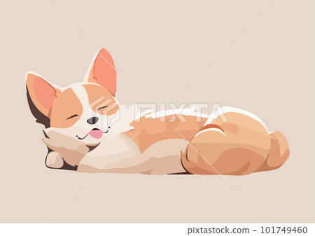 Cute welsh corgi having a nap, snugly curled upisolated on a black background Cute welsh corgi having a nap, snugly curled upisolated on a black background 101749460