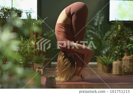 modern housewife at modern green home stretching modern housewife at modern green home stretching 101751215