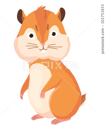 Hamster habitat accessorie. Adorable fat animal. Element of habitat for adorable fat animal. Isolated on white background Hamster habitat accessorie. Adorable fat animal. Element of habitat for adorable fat animal. Isolated on white background 101751653