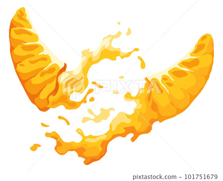 Mandarin icon. Cartoon isolated sweet citrus fruit. Fresh tropical tangerine. Organic vector illustration. Orange segments 101751679