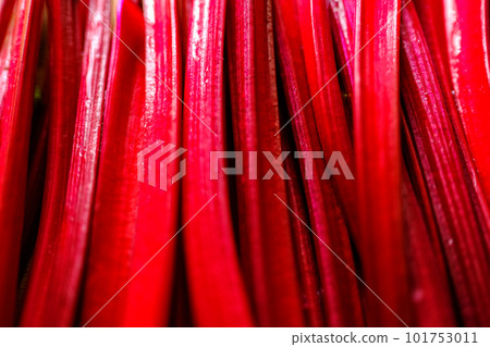 Fresh raw beet greens ready for cooking. Natural background. 101753011