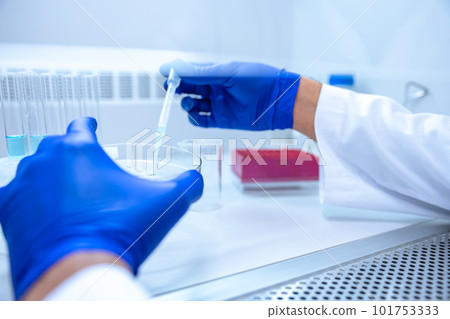 Scientist hands with dropper or pipette, examining samples and liquid. 101753333