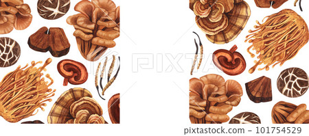 Watercolor medicinal mushroom frame, adaptogenic plant. Hand-drawn illustration isolated on white background. Perfect concept for healthy chinese medicine popular superfood, design packing. 101754529