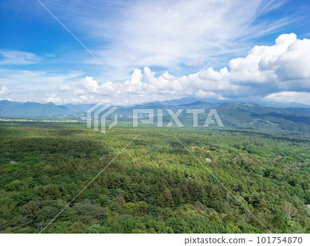 "Yamanashi Prefecture" Aerial drone photography of the beautiful forest Kiyosato 101754870