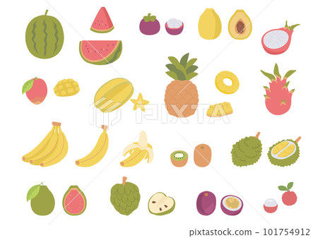 Tropical fruit illustration set 101754912