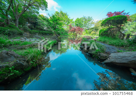 Park pond and trees 101755468