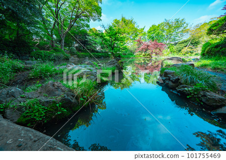 公園池塘和樹木 101755469