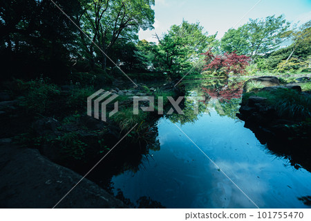 公園池塘和樹木 公園池塘和樹木 101755470
