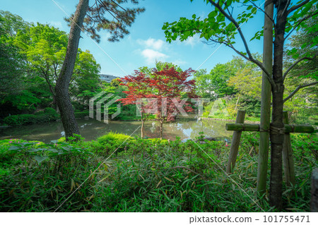 Park pond and trees Park pond and trees 101755471